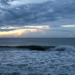 Meet your Posher, Scarlett